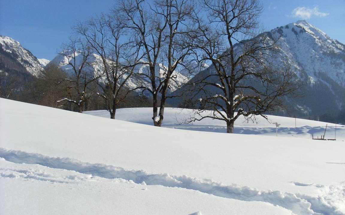 Photo of Others in Oberstdorf