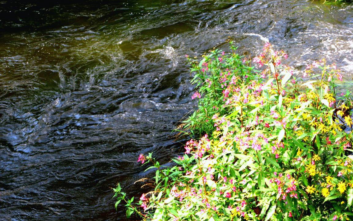 Photo of Others in Passau