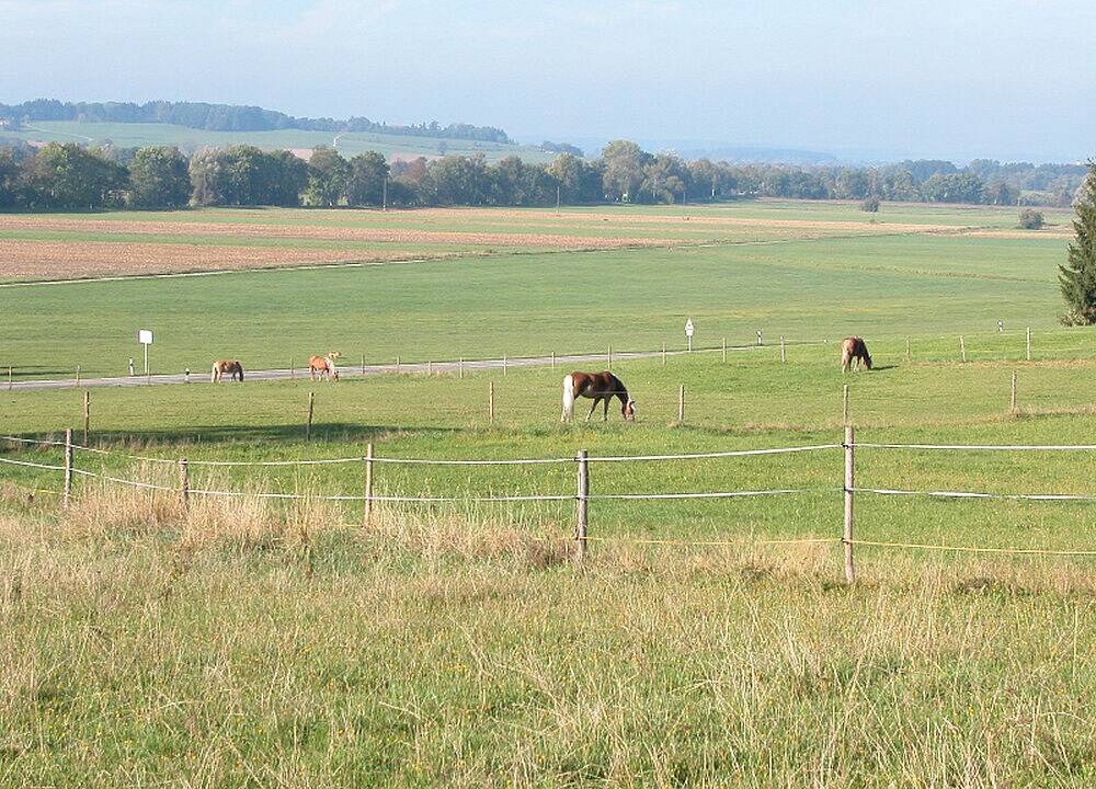 Photo of Others in Unterallgau