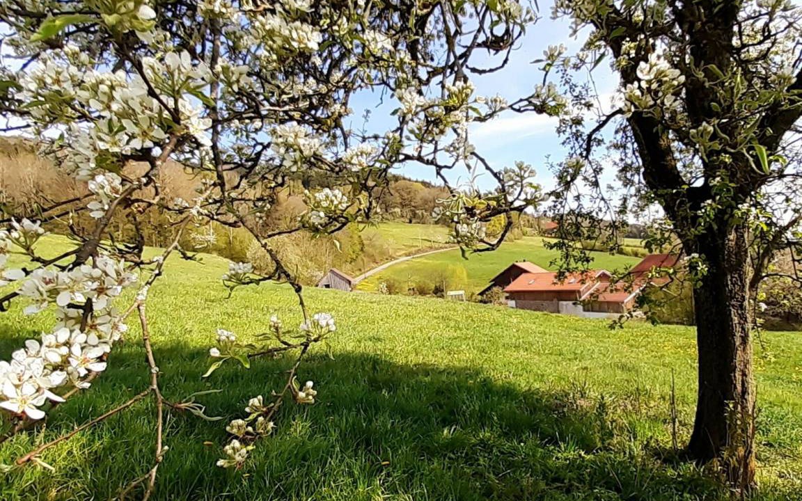 Photo of Others in Schwarzach