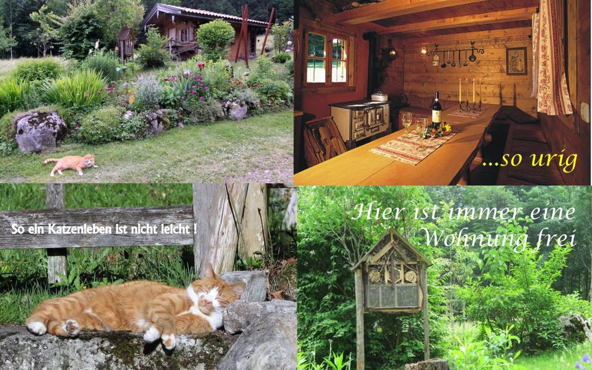 Photo of Others in Aschau im Chiemgau