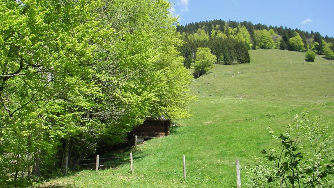 Photo of Others in Balderschwang