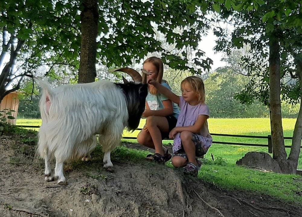 Photo of Others in Unterallgau