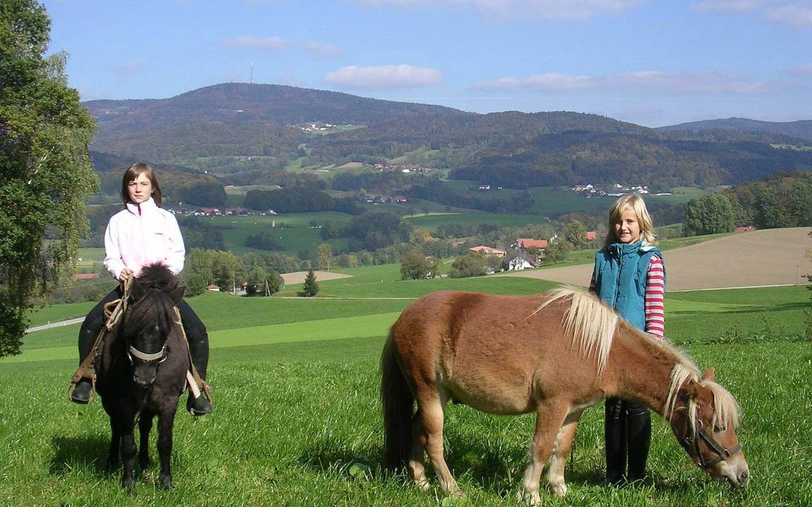Photo of Others in Schoellnach