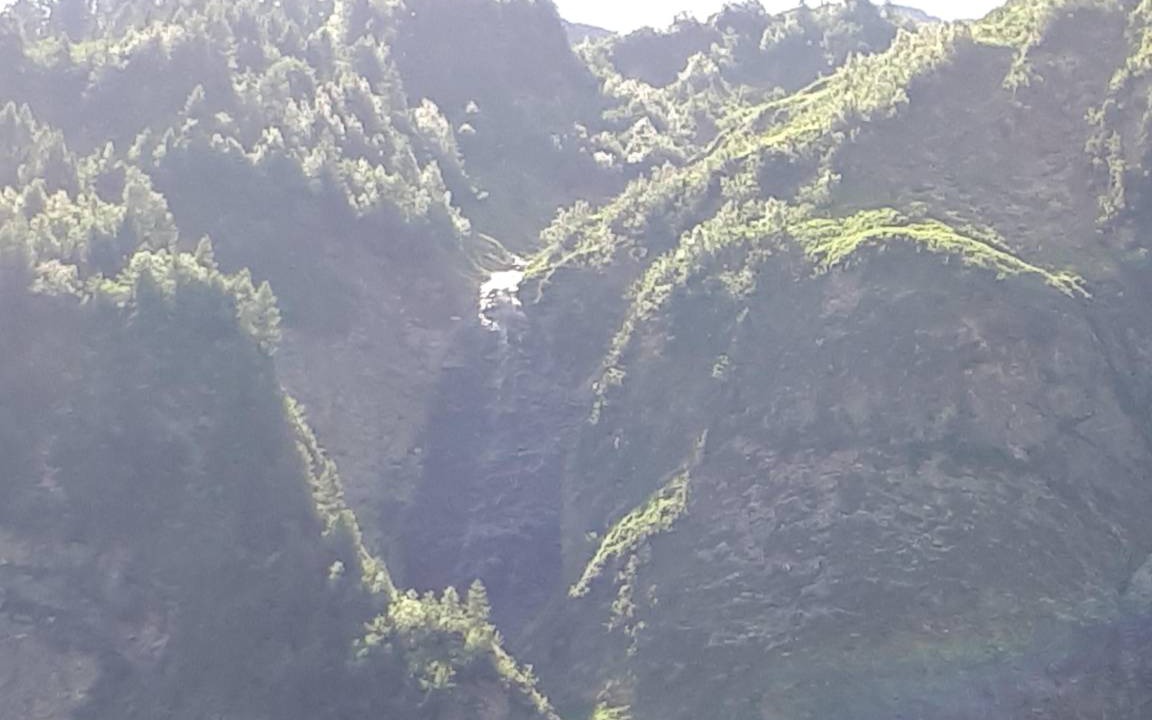 Photo of Others in Haeselgehr
