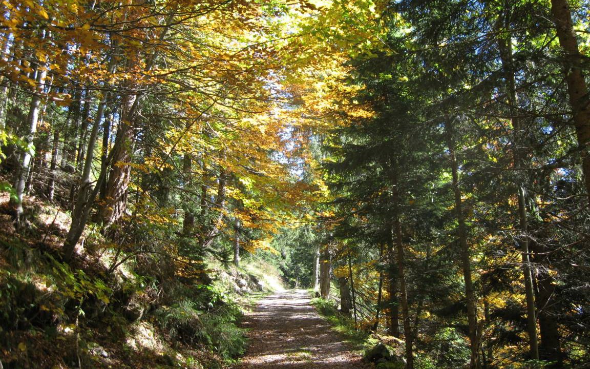 Photo of Others in Fischbachau