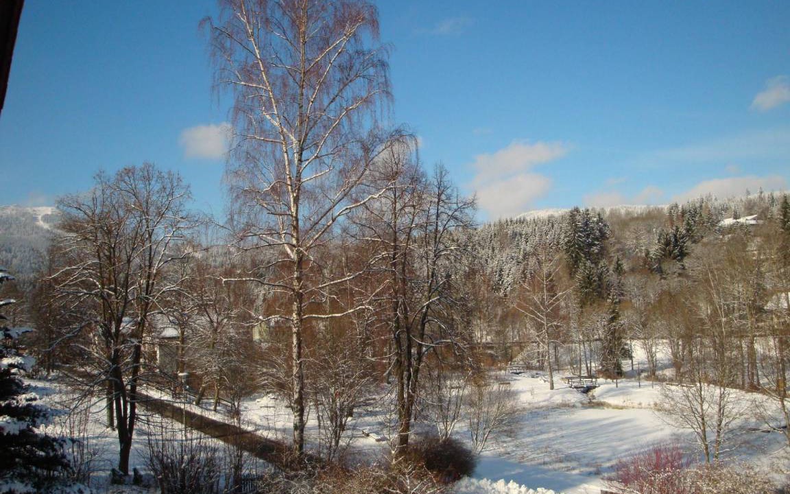 Photo of Others in Bayerisch Eisenstein
