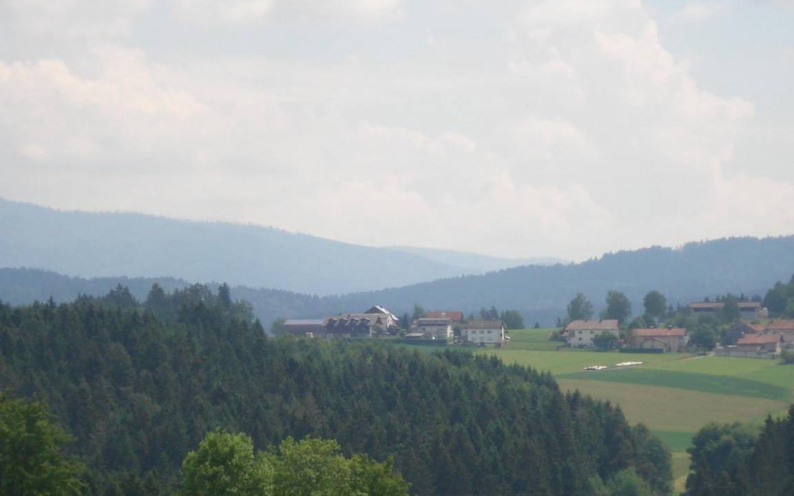 Photo of Others in Honigsgrub