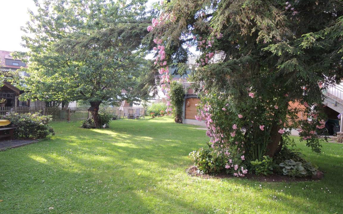 Photo of Others in Steinbach