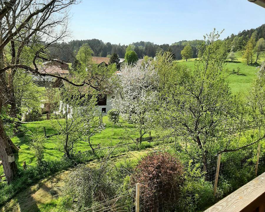 Photo of Others in Viechtach