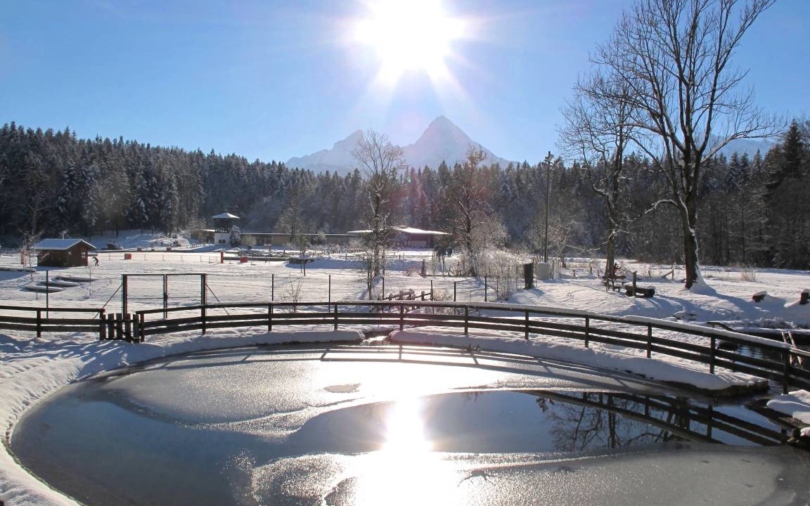 Photo of Others in Oberschonau