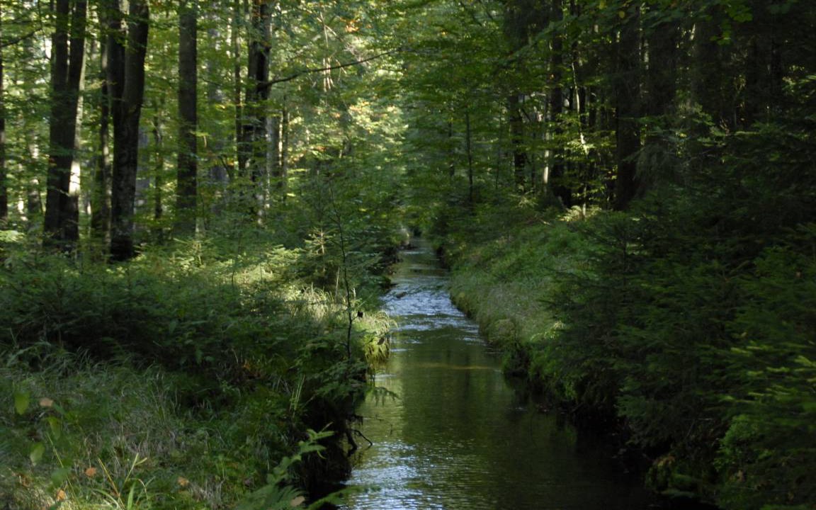 Photo of Others in Breitenberg