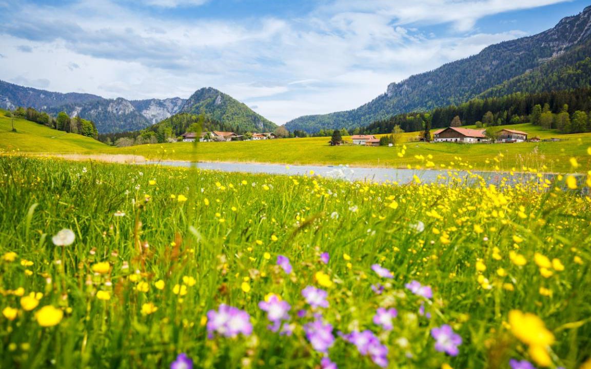 Photo of Others in Ruhpolding