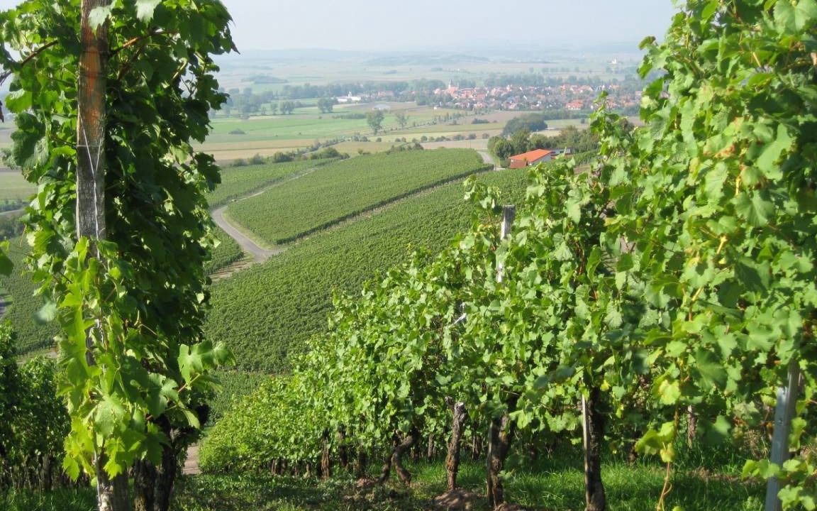 Photo of Others in Bad Windsheim