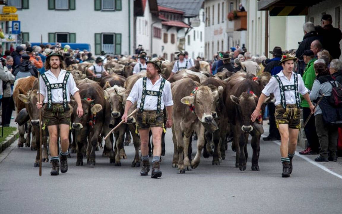 Photo of Others in Wertach