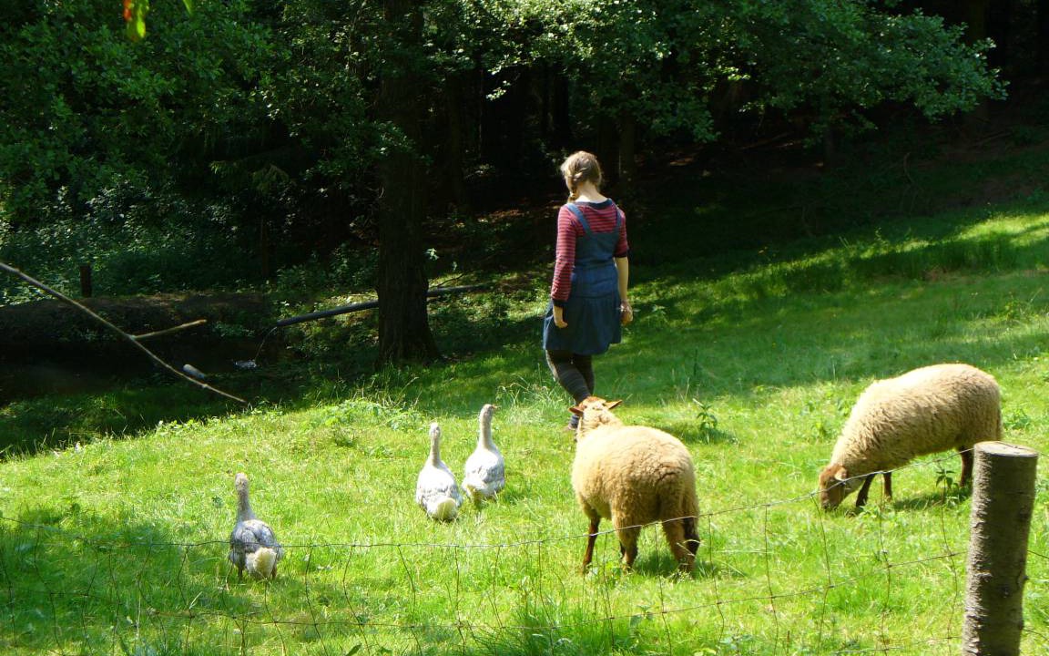 Photo of Others in Marktrodach