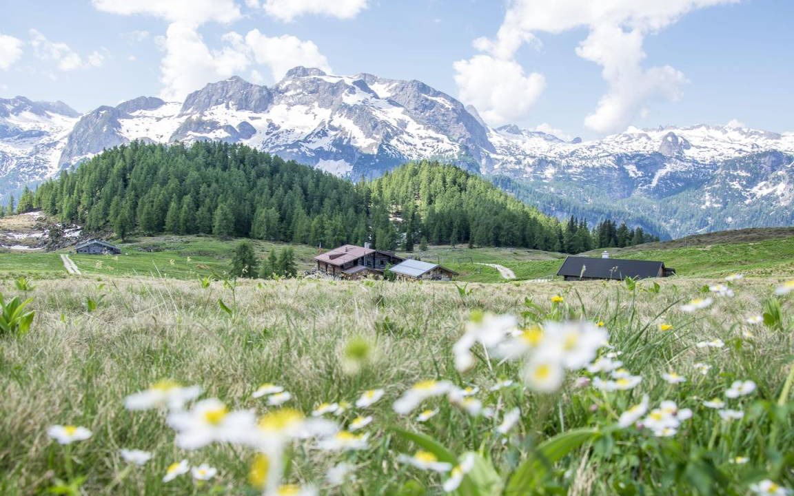 Photo of Others in Oberschonau
