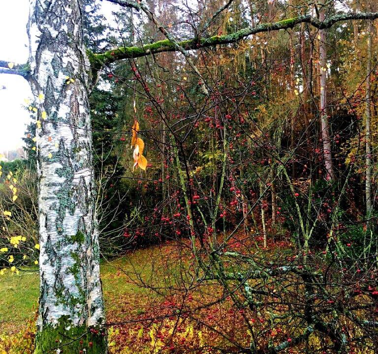 Photo of Others in Luhe-Wildenau