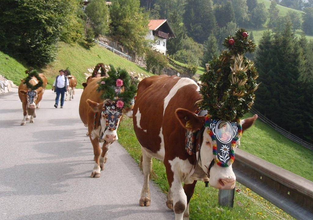 Photo of Others in Außerweerberg