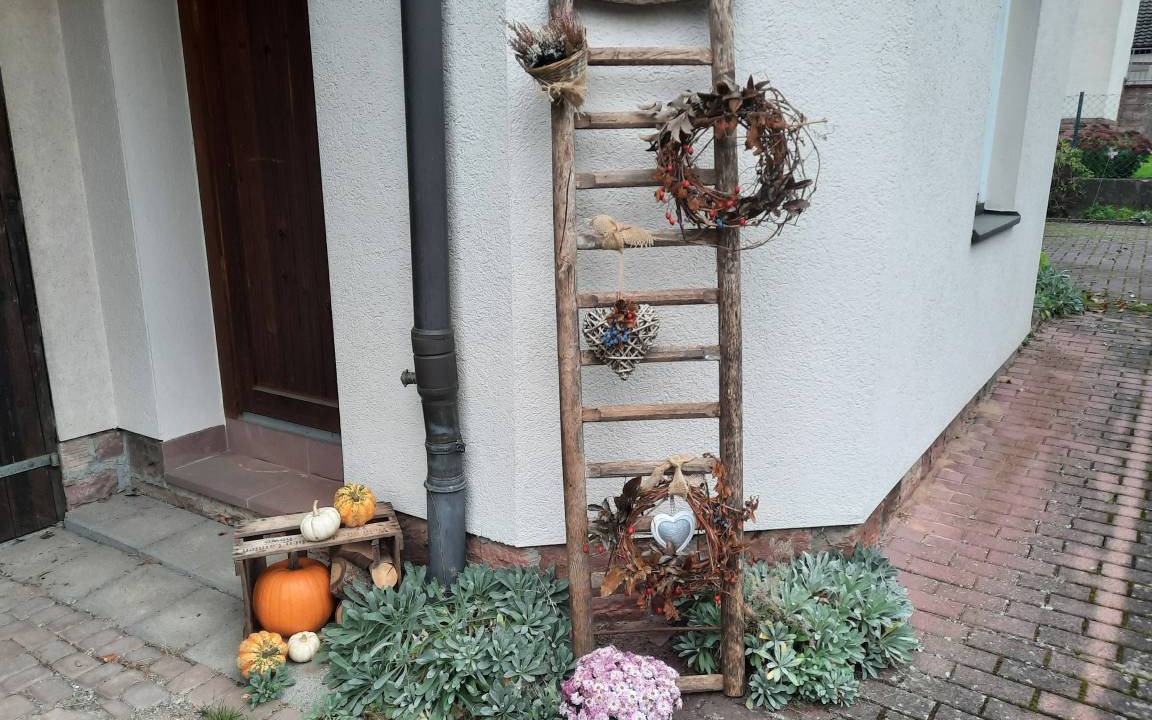 Photo of Others in Langenprozelten
