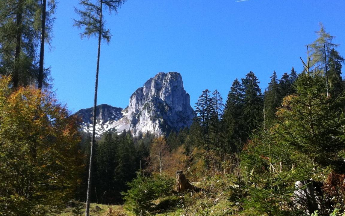 Photo of Others in Ruhpolding