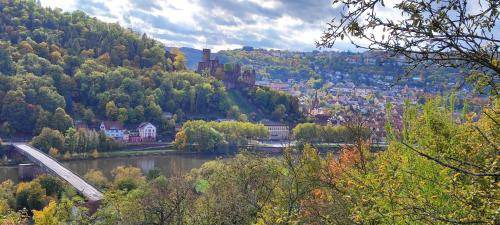 Photo of Others in Kreuzwertheim