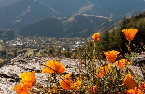Photo of Others in Arrowtown