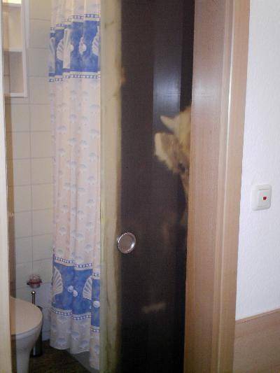 Photo of Bathroom in Tiefenbach
