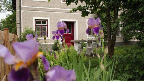 Photo of Others in Ebersberg District