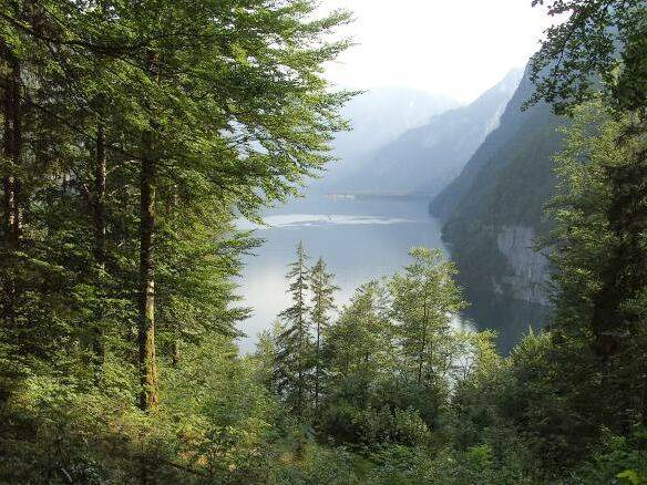 Photo of Others in Konigssee