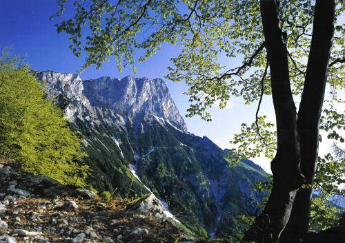 Photo of Outdoor in Stanggaß