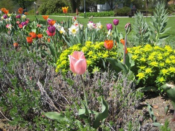 Photo of Outdoor in Bad Endorf