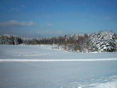 Photo of Others in Elbersreuth