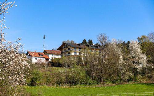 Photo of Others in Palmberg
