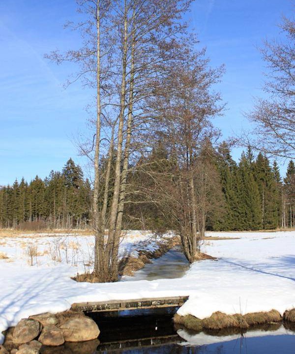 Photo of Others in St. Oswald