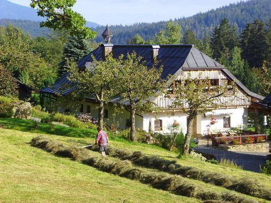 Photo of Others in Bayerisch Eisenstein
