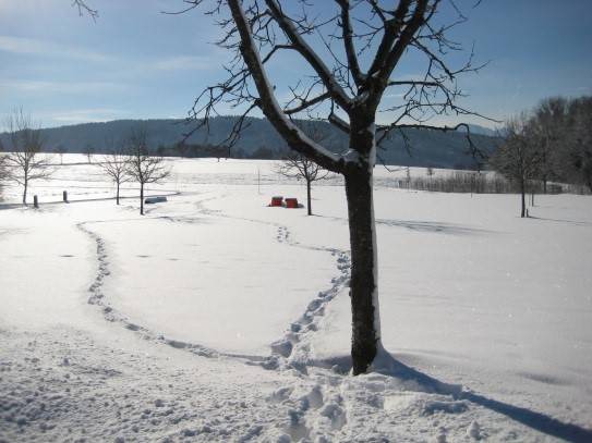 Photo of Others in Bad Endorf