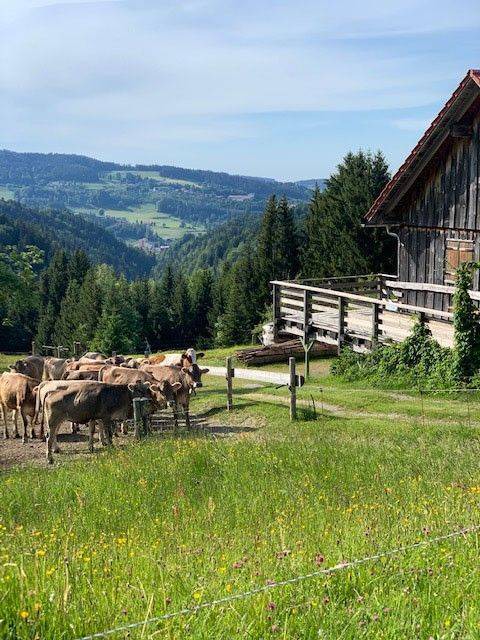 Photo of Others in Oberstaufen