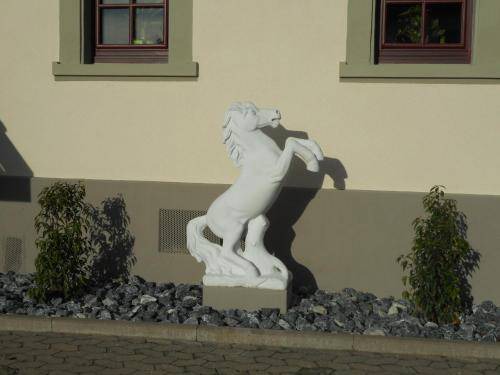 Photo of Others in Oberschwarzach