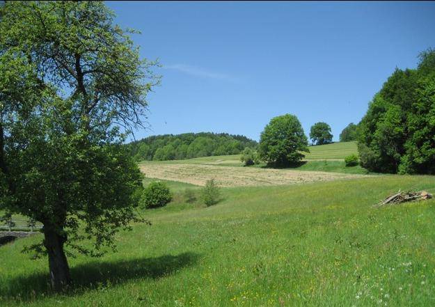 Photo of Others in Roehrnbach