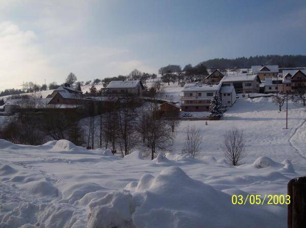 Photo of Others in Wildensee