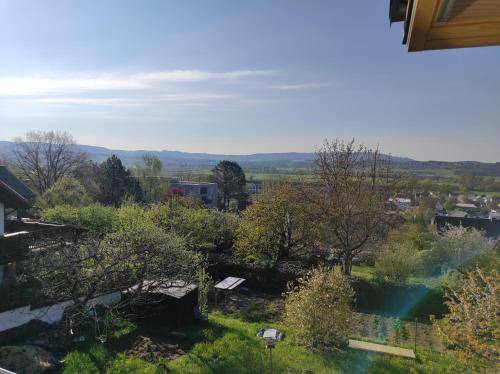 Photo of Others in Forchheim