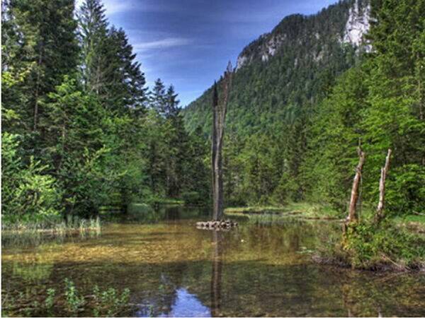 Photo of Others in Inzell