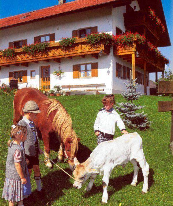 Photo of Others in Lechbruck