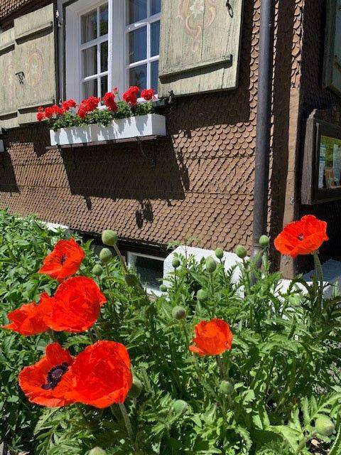 Photo of Others in Oberstaufen