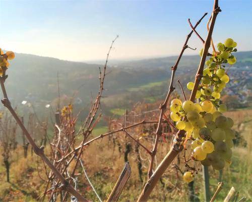 Photo of Others in Michelbach