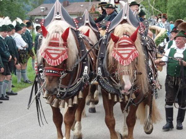 Photo of Others in Inzell