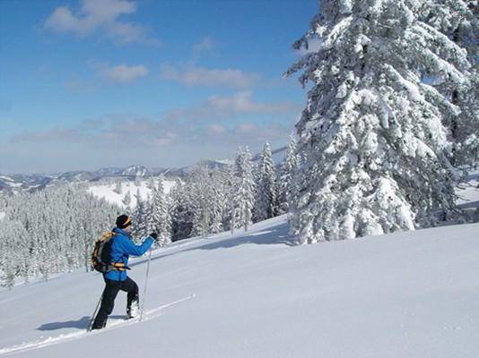 Photo of Others in Fieberbrunn