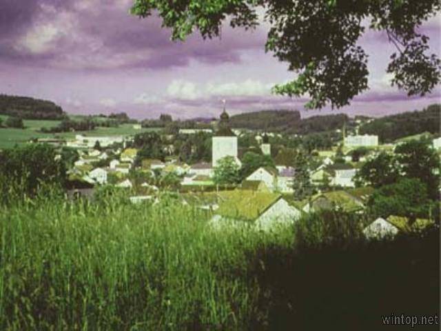 Photo of Buildings in Regen