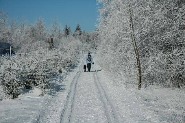 Photo of Others in Fladungen